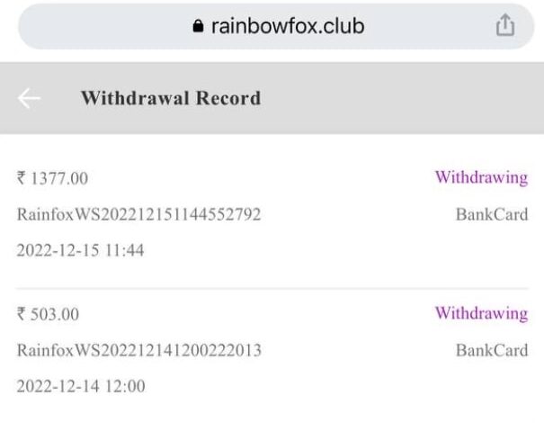 Rainbow Fox.Club App